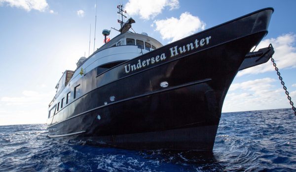 under-sea-anchored-guadalupe-003w858h570crwidth857crheight570